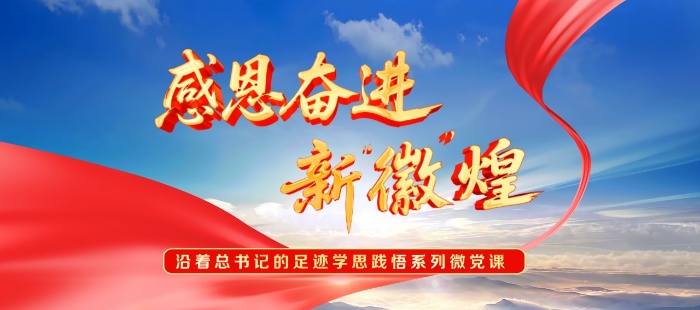 感恩奮進(jìn)新“徽”煌——沿著總書記的足跡學(xué)思踐悟系列微黨課