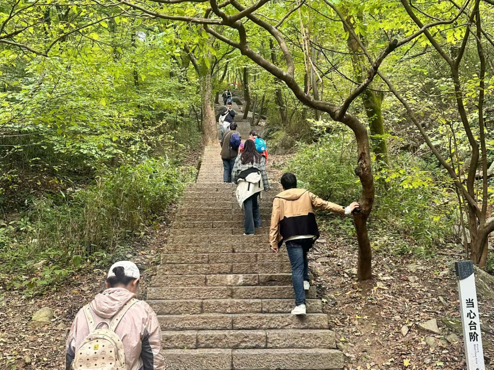 1730358896869 1730358896869